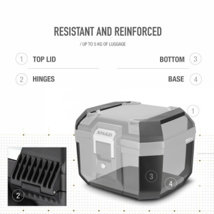 TOP CASE TR41 TERRA