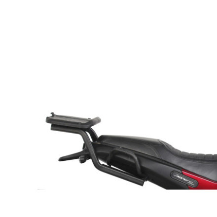 TOP MASTER BENELLI LEONCINO 502